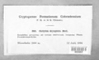 Image Associated With the Occurence